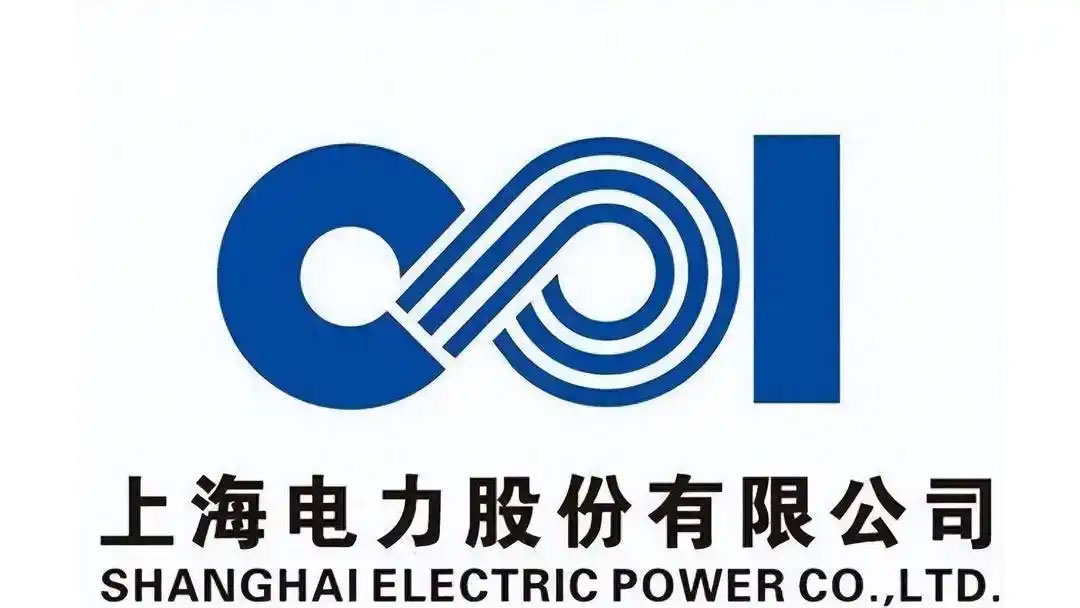 Shanghai [XXX] Power Generation Co., Ltd.